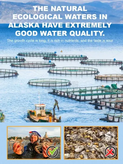 【0 Fat High Protein】Crispy Sweet Spicy Sea Crab