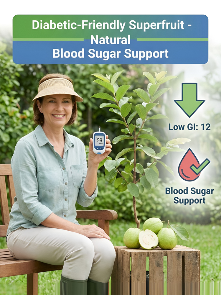 🌳Lab-grown red heart guava sapling, cold-resistant down to -5℃, extremely high vitamin C content, 30-day survival guarantee, full refund if dead🔥