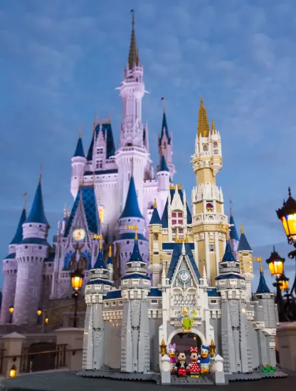 The Disney Castle