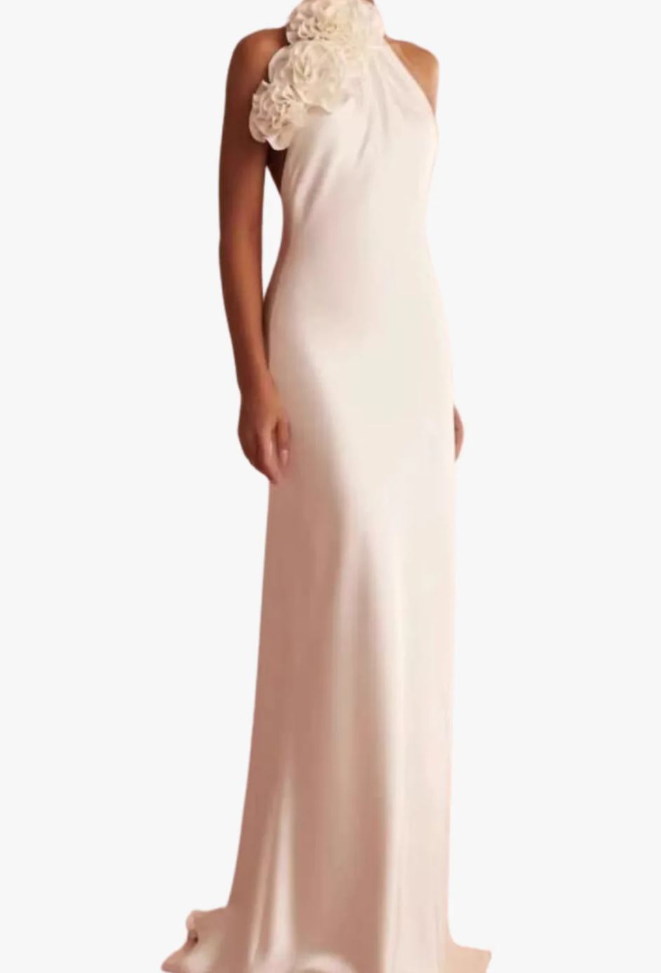 sherry Halterneck Floral Applique Maxi Dress in white