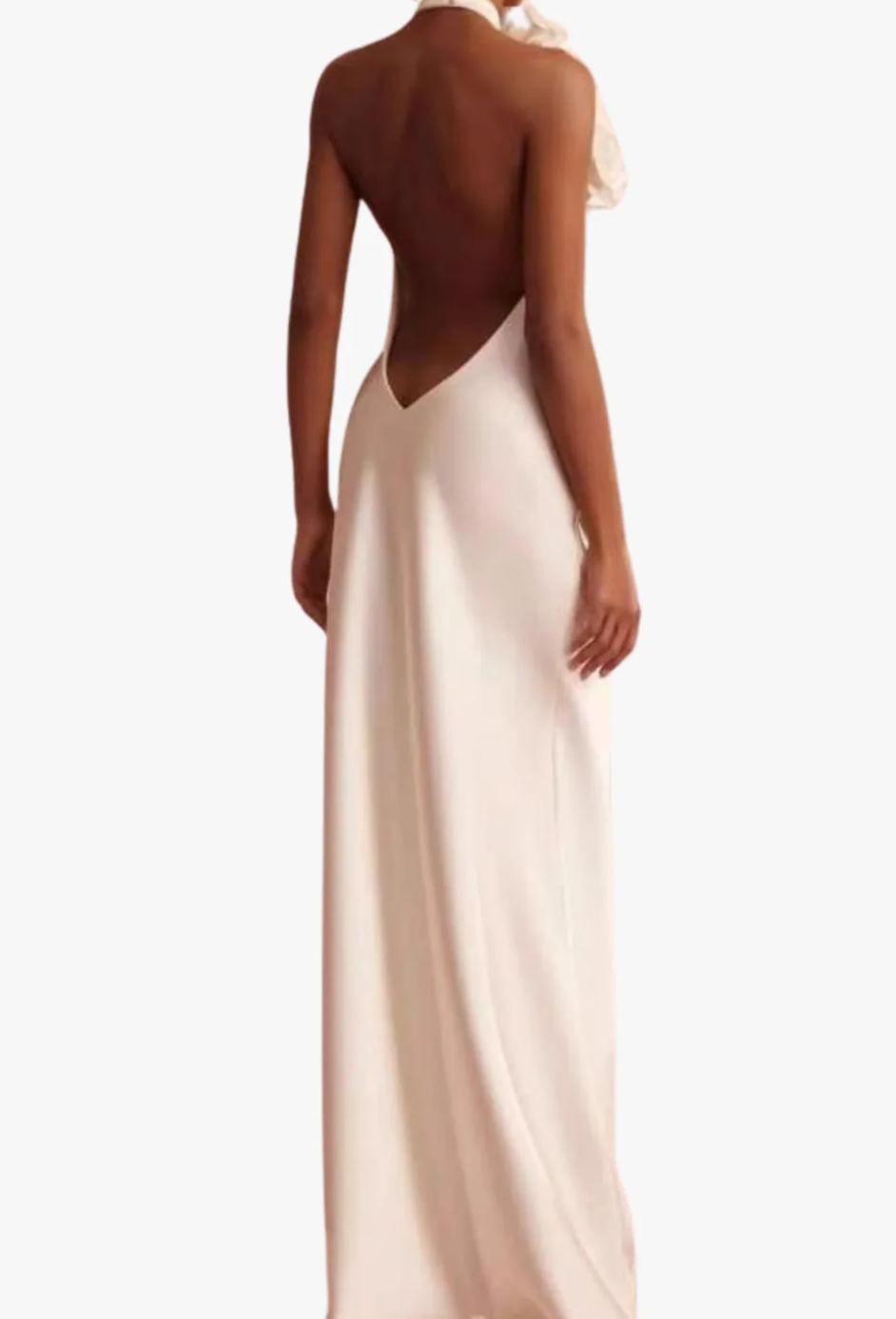 sherry Halterneck Floral Applique Maxi Dress in white