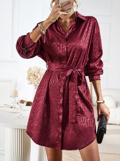 Elegant and elegant shirt collar open placket long sleeve dress-chiquechics