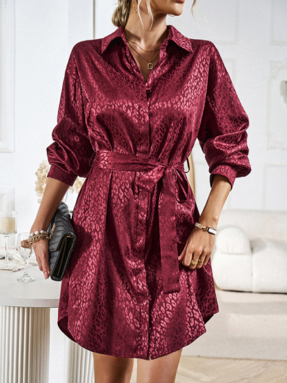 Elegant and elegant shirt collar open placket long sleeve dress-chiquechics