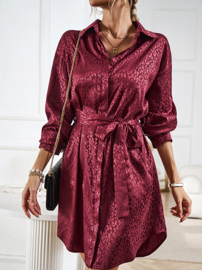 Elegant and elegant shirt collar open placket long sleeve dress-chiquechics