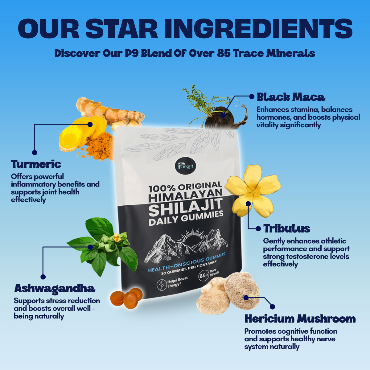 PUREJIT® 100% ORIGINAL HIMALAYAN SHILAJIT DAILY GUMMIES