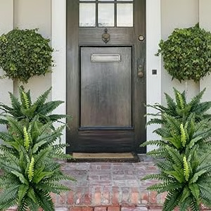 🔥Last Day 49% OFF--UV Resistant Lifelike Artificial Boston Fern