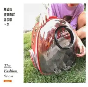 image8.jpg
