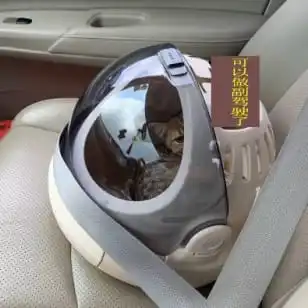 image189.jpg