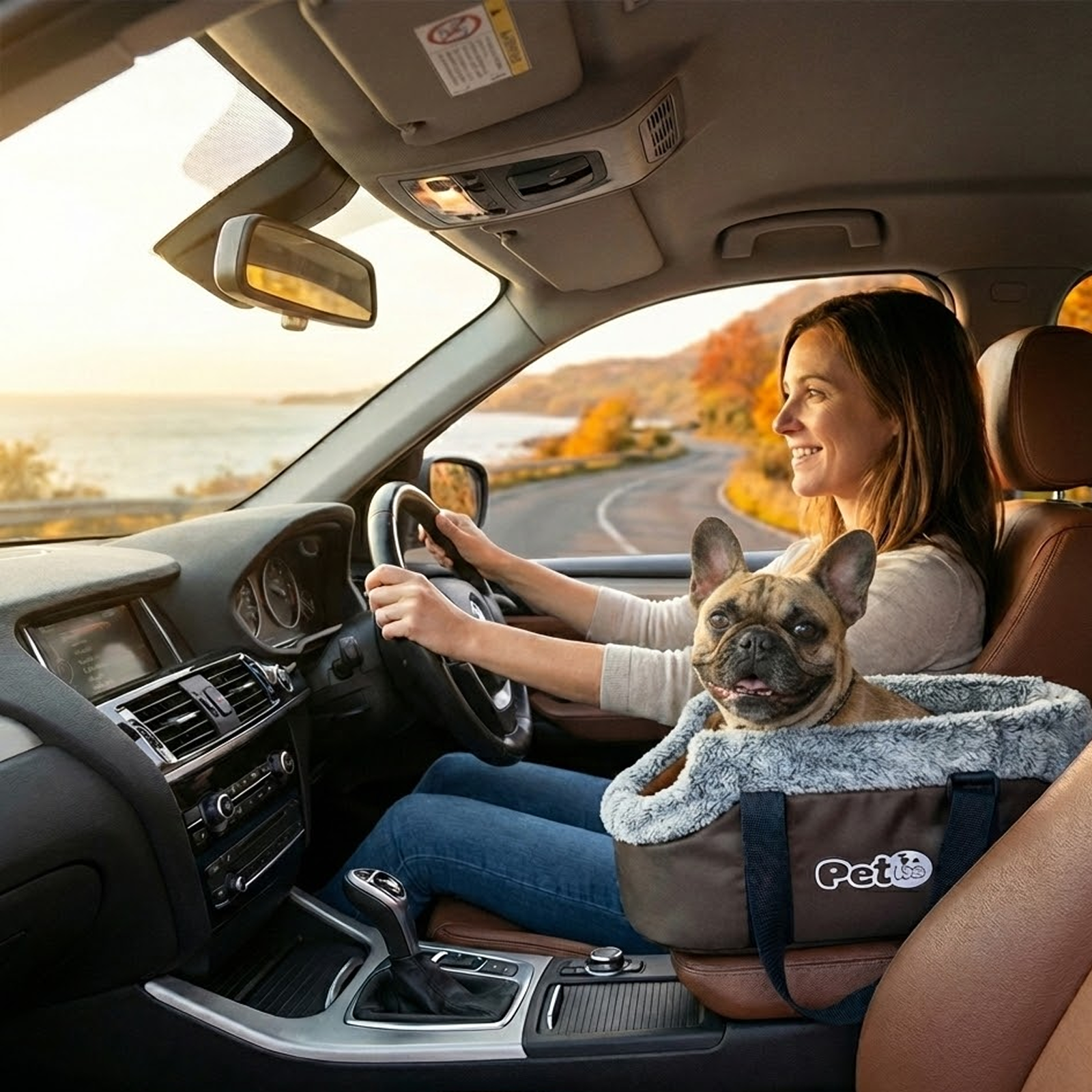 Pet Carriers & Crates