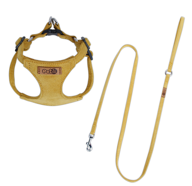 胸背 Pet chest back.xlsx row76-78 source image 24