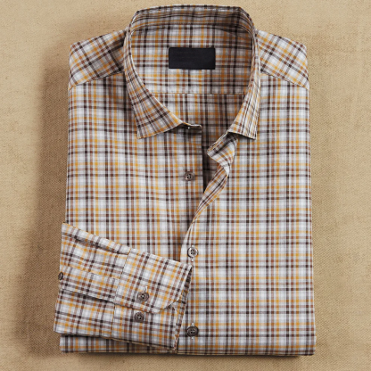 Striped Check Long-Sleeved Shirt