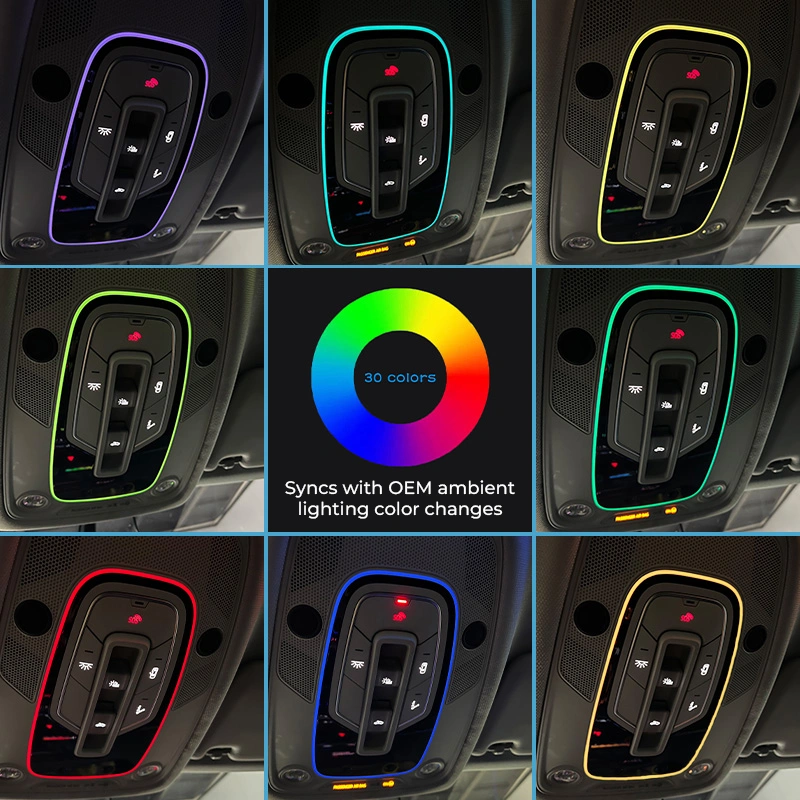 Asign LED Roof Reading Ambient Light for Audi A4/A5/A6/A7/Q7/Q8