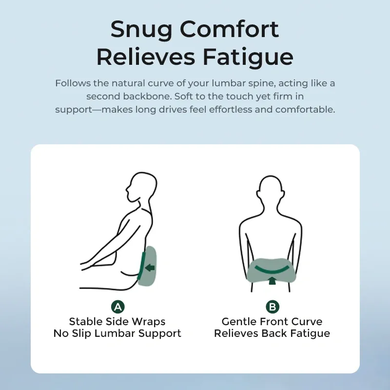 Asign Zero-Pressure Plus Lumbar & Headrest – Ergonomic Memory Foam Support for Car