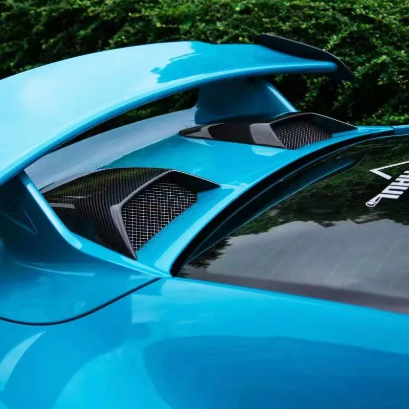 Asign Dry Carbon Rear Engine Cover Trim for Porsche 911/991.2 GT3
