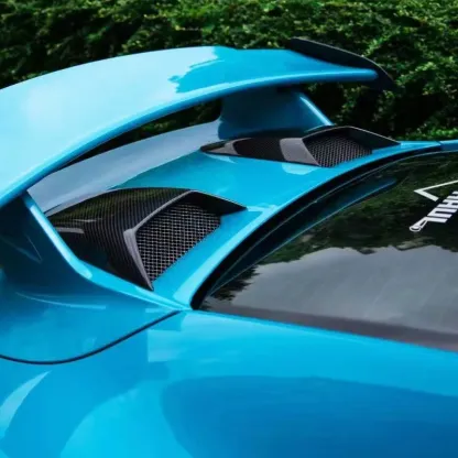 Asign Dry Carbon Rear Engine Cover Trim for Porsche 911/991.2 GT3