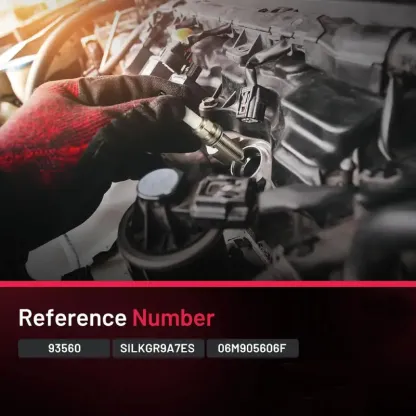 Asign 93560 Platinum Iridium Spark Plug For Audi S4 S5 S6 Q7 Q8/Porsche Cayenne Macan Panamera