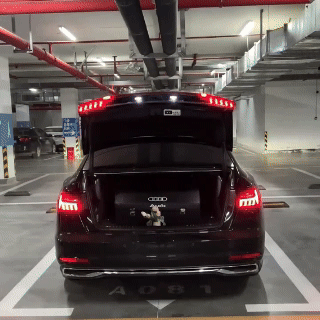 Asign Audi Dynamic Trunk Glow - Ambient & Utility Lighting