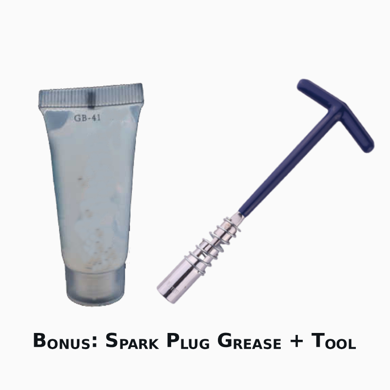 Asign Spark Plugs for Porsche