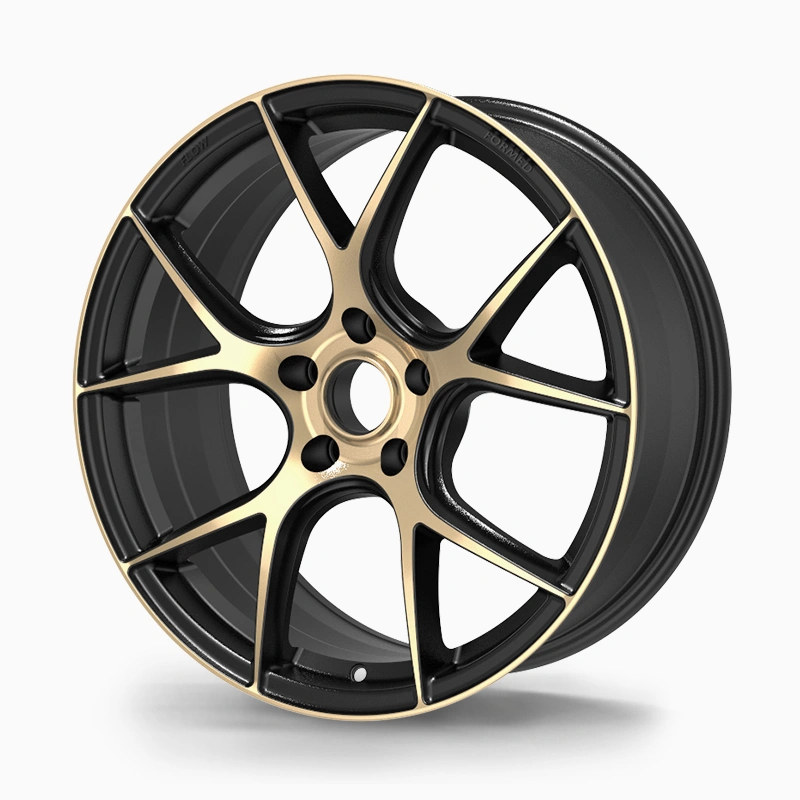 Asign FZ003 18" Alloy Wheel – Lightweight, 690KG Load Capacity