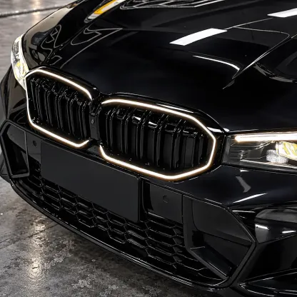 Asign Illuminated LED Kidney Grille for BMW 2, 3, 4 & 5 Series | Pre-LCI & LCI