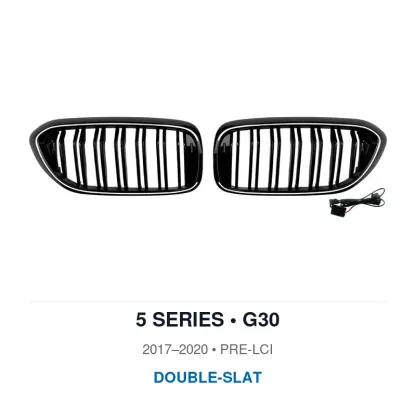 Asign Illuminated LED Kidney Grille for BMW 2, 3, 4 & 5 Series | Pre-LCI & LCI