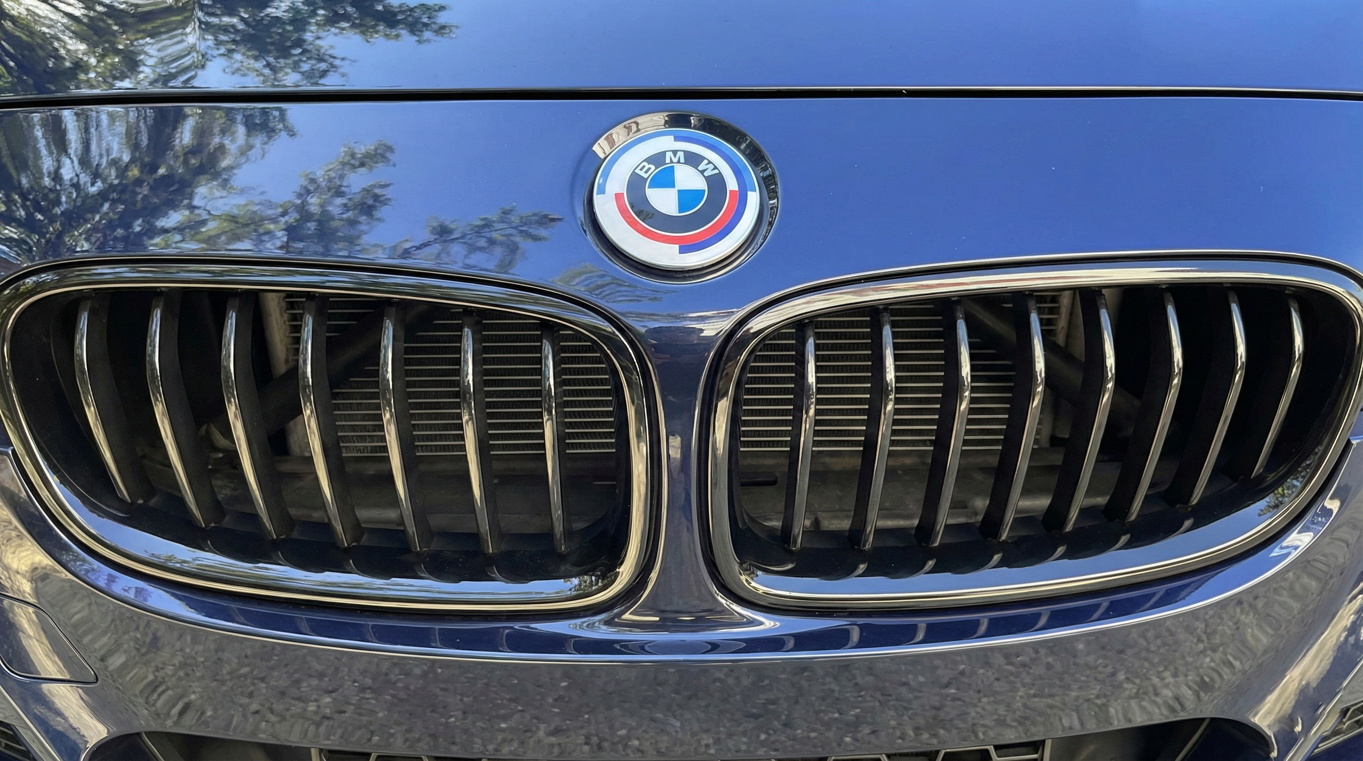 Close-up of 50th Anniversary BMW M Heritage Hood Emblem installed on a metallic green BMW E90 F30.