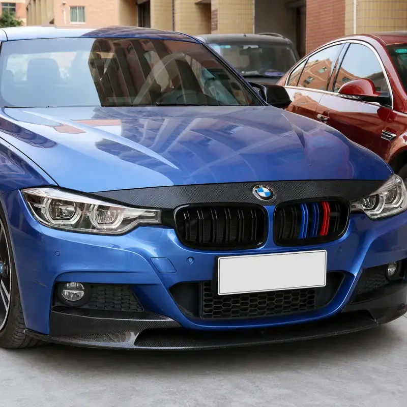 Asign BMW Double-Slat Replacement Kidney Grille Pair — Gloss Black or Real Carbon Fiber