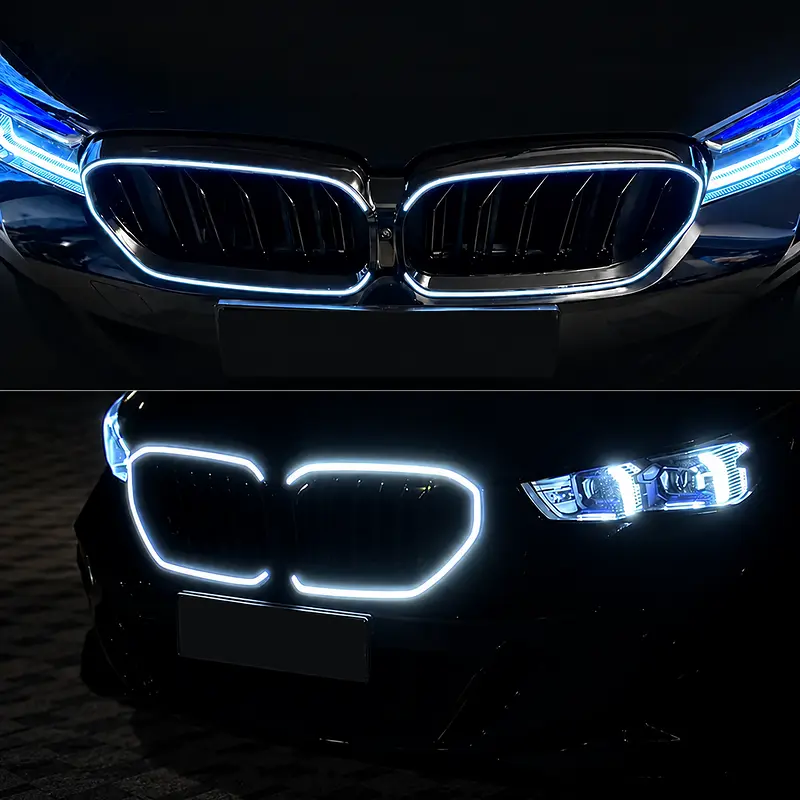 Asign Illuminated LED Kidney Grille for BMW 2, 3, 4 & 5 Series | Pre-LCI & LCI