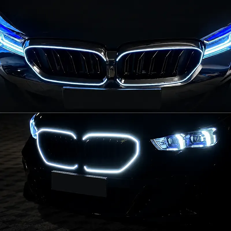 Asign Illuminated LED Kidney Grille for BMW 2, 3, 4 & 5 Series | Pre-LCI & LCI
