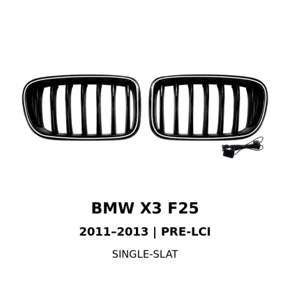 Asign Illuminated LED Kidney Grille for BMW X1, X3, X4, X5 & X6 | Pre-LCI & LCI