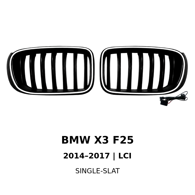 Asign Illuminated LED Kidney Grille for BMW X1, X3, X4, X5 & X6 | Pre-LCI & LCI