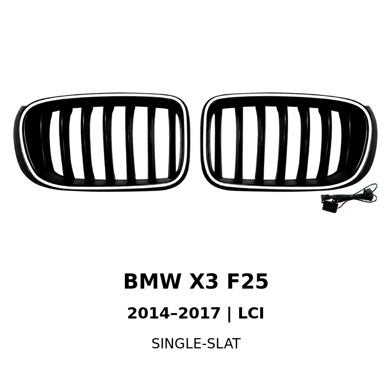 Asign Illuminated LED Kidney Grille for BMW X1, X3, X4, X5 & X6 | Pre-LCI & LCI