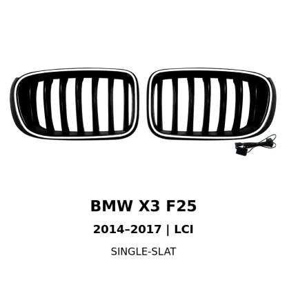 Asign Illuminated LED Kidney Grille for BMW X1, X3, X4, X5 & X6 | Pre-LCI & LCI