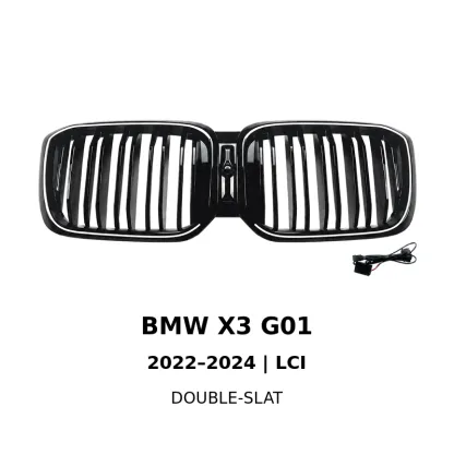 Asign Illuminated LED Kidney Grille for BMW X1, X3, X4, X5 & X6 | Pre-LCI & LCI