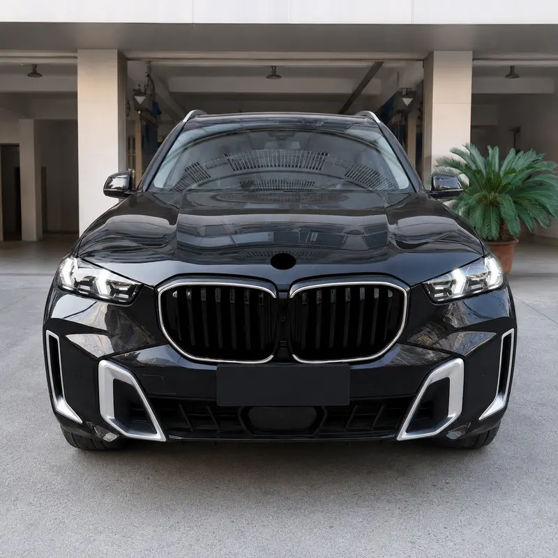 Asign Illuminated LED Kidney Grille for BMW X1, X3, X4, X5 & X6 | Pre-LCI & LCI