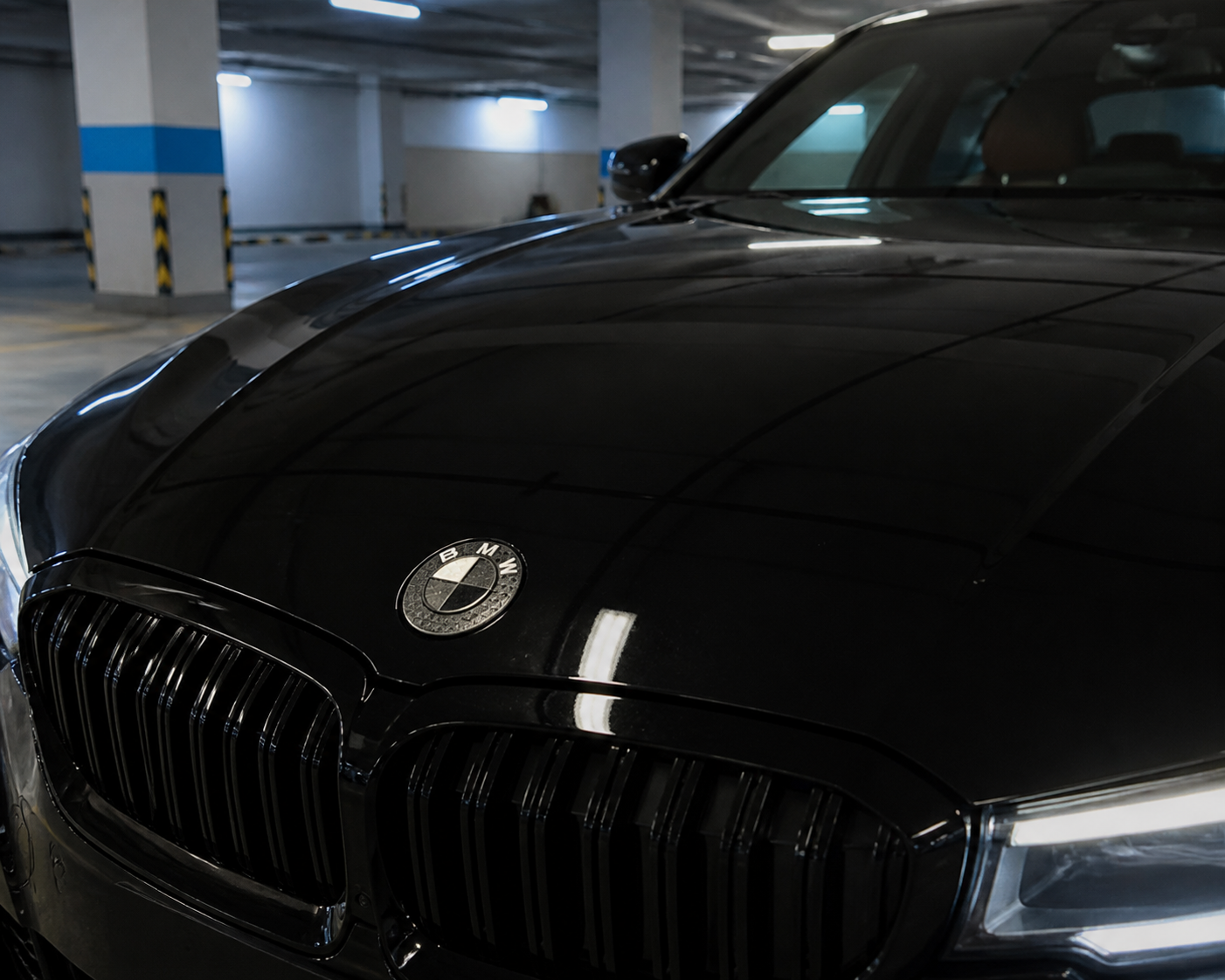 Asign Custom Carbon Fiber Style Hood & Trunk Emblem for Selected BMW Models