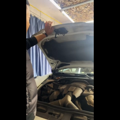 Asign Front Hood Crest Emblem for Porsche-Multiple Finishes