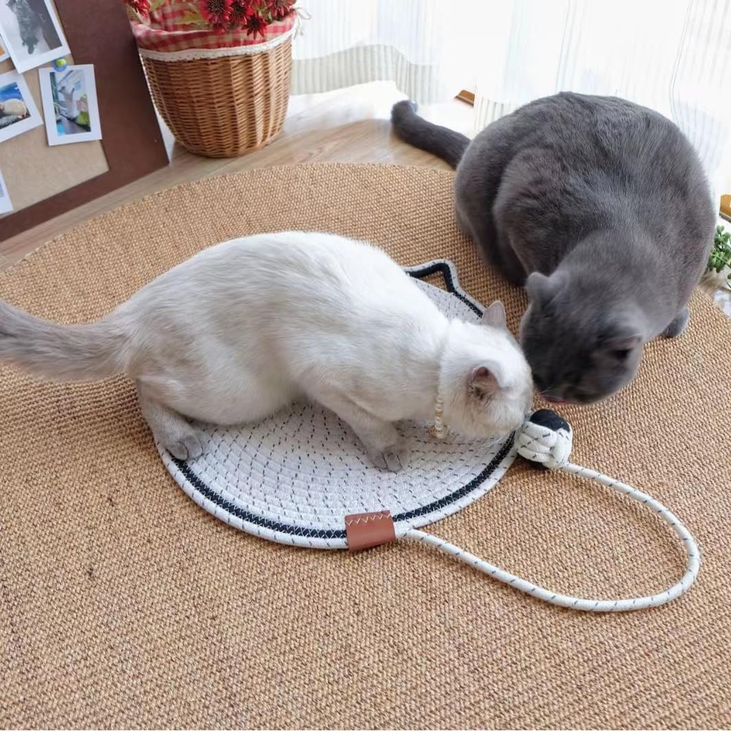  Durable Sisal Cat Scratcher Mat