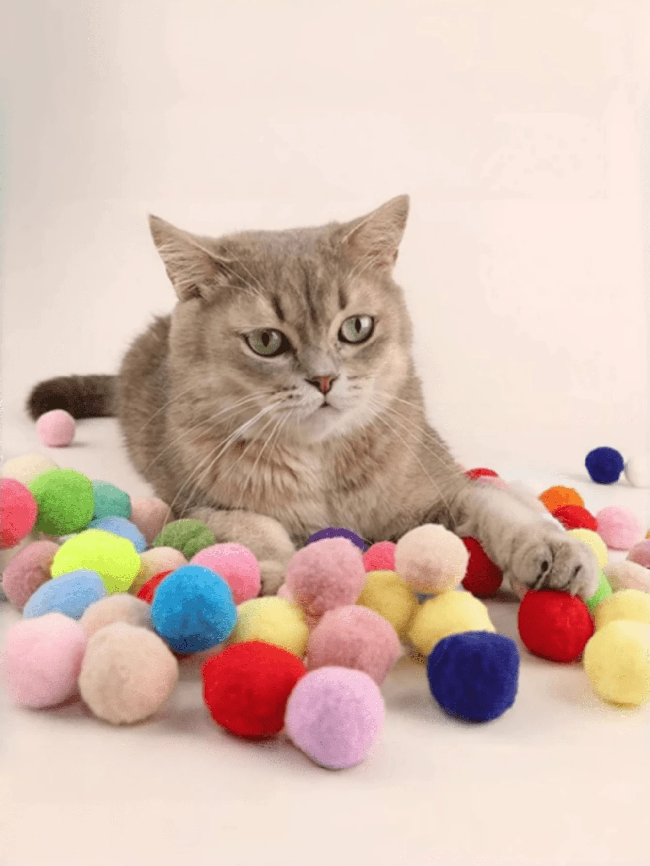  Plush Cat Interactive Toys And Random Color Plush Balls