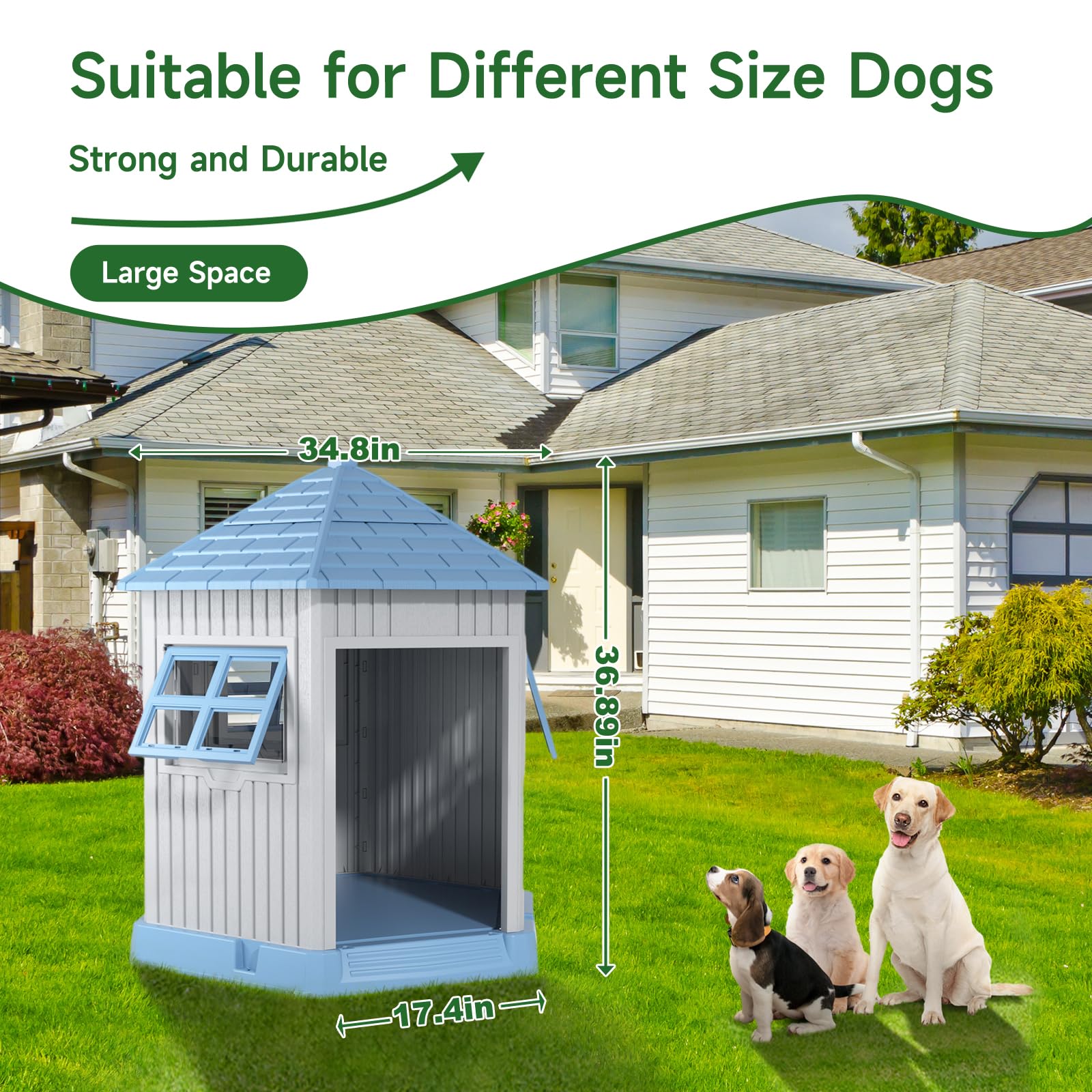 Dog House Indoor Outdoor Durable Large Dog Shelter with Outside Dog Kennel with Window and Elevated Floor 