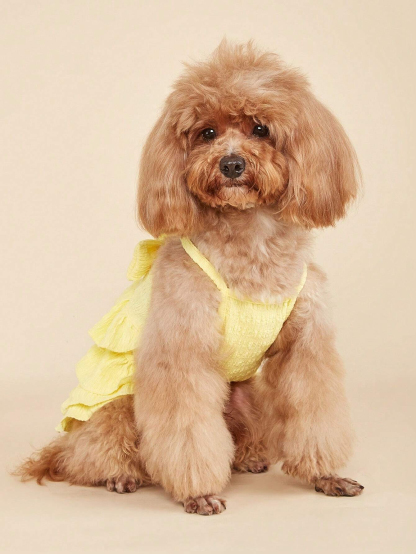  Spring/Summer Thin Dog/Cat Tutu Dress