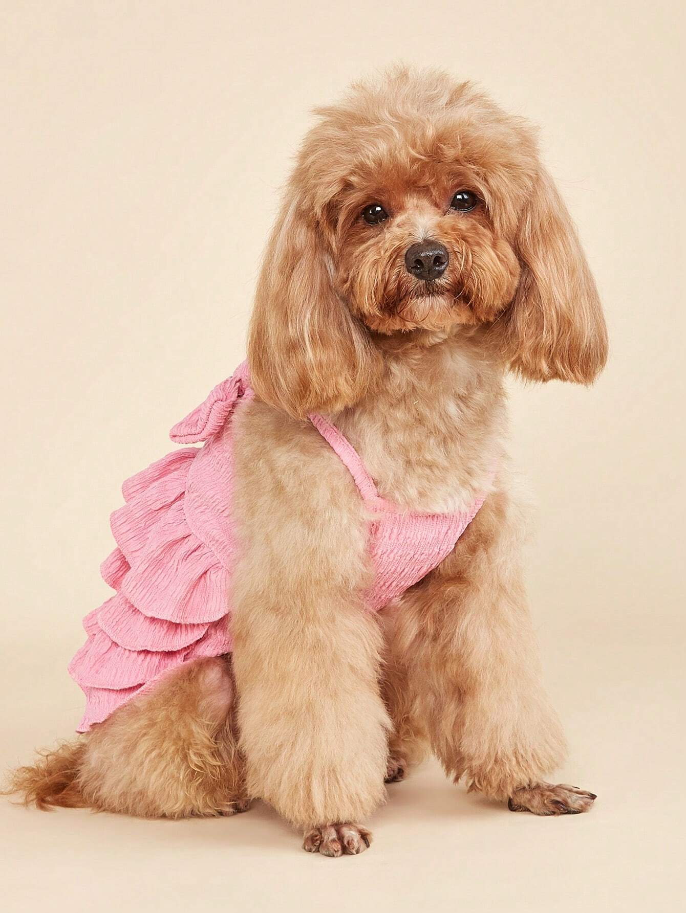  Spring/Summer Thin Dog/Cat Tutu Dress