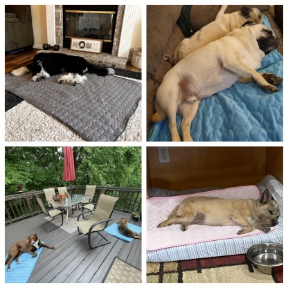  Instant Cool Dog Bed - Dog Cooling Mat