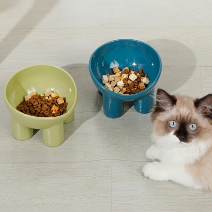 Sleek Design Elevated Pet Bowl with Stand - Neck-Friendly