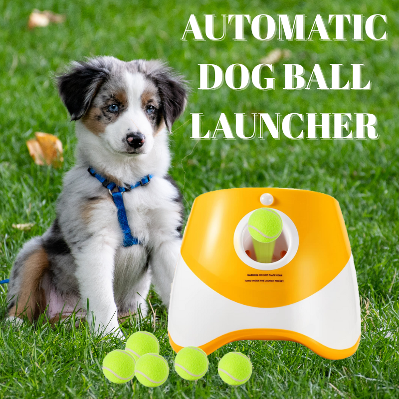 Automatic Dog Ball Launcher
