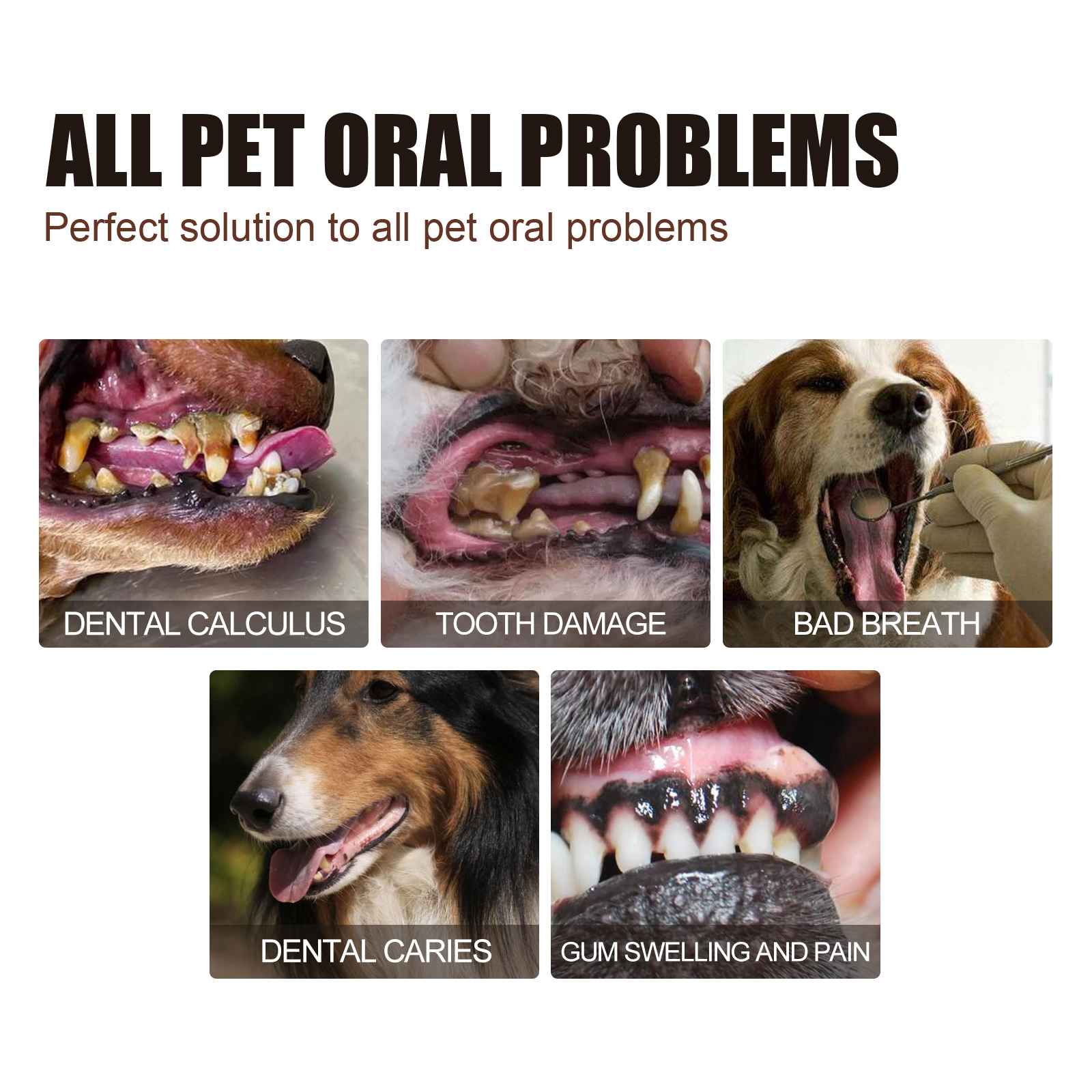 PET TEETH CLEANING SPRAY