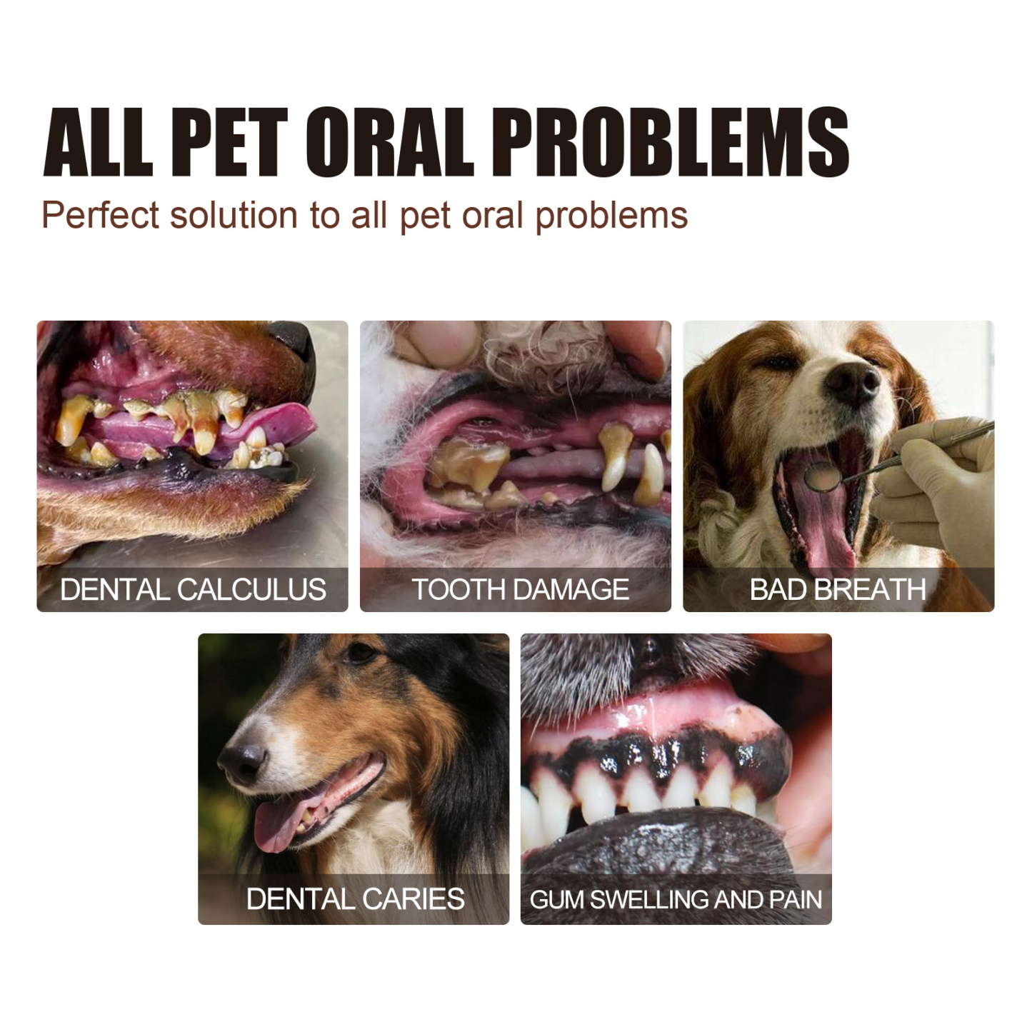 PET TEETH CLEANING SPRAY