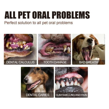 PET TEETH CLEANING SPRAY