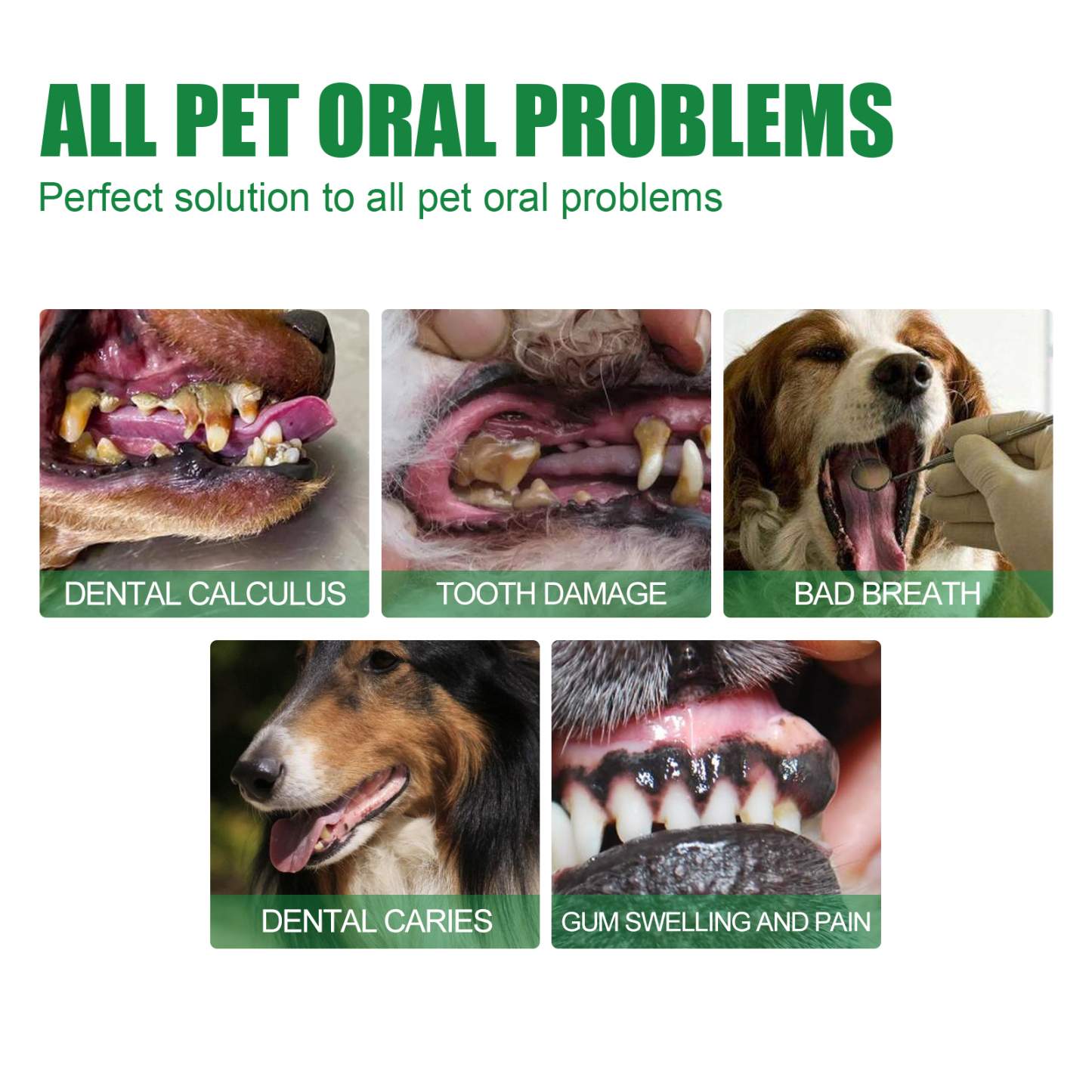 ORAL SPRAY PET CATS AND DOGS