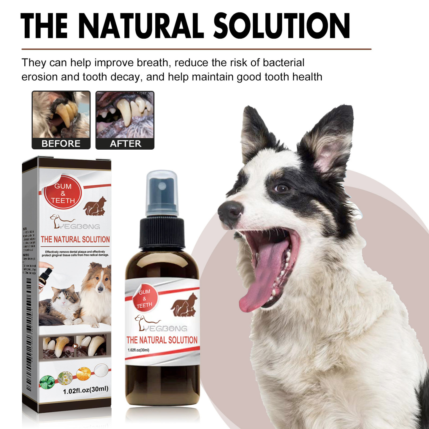 PET TEETH CLEANING SPRAY